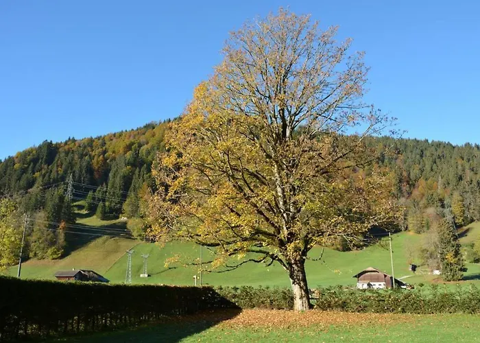 Apartment Oberland Nr- 3 By Interhome Apartment Gstaad