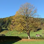 Apartment Oberland Nr- 3 By Interhome Apartment Gstaad